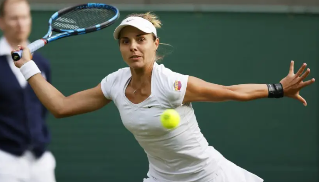Томова bet365